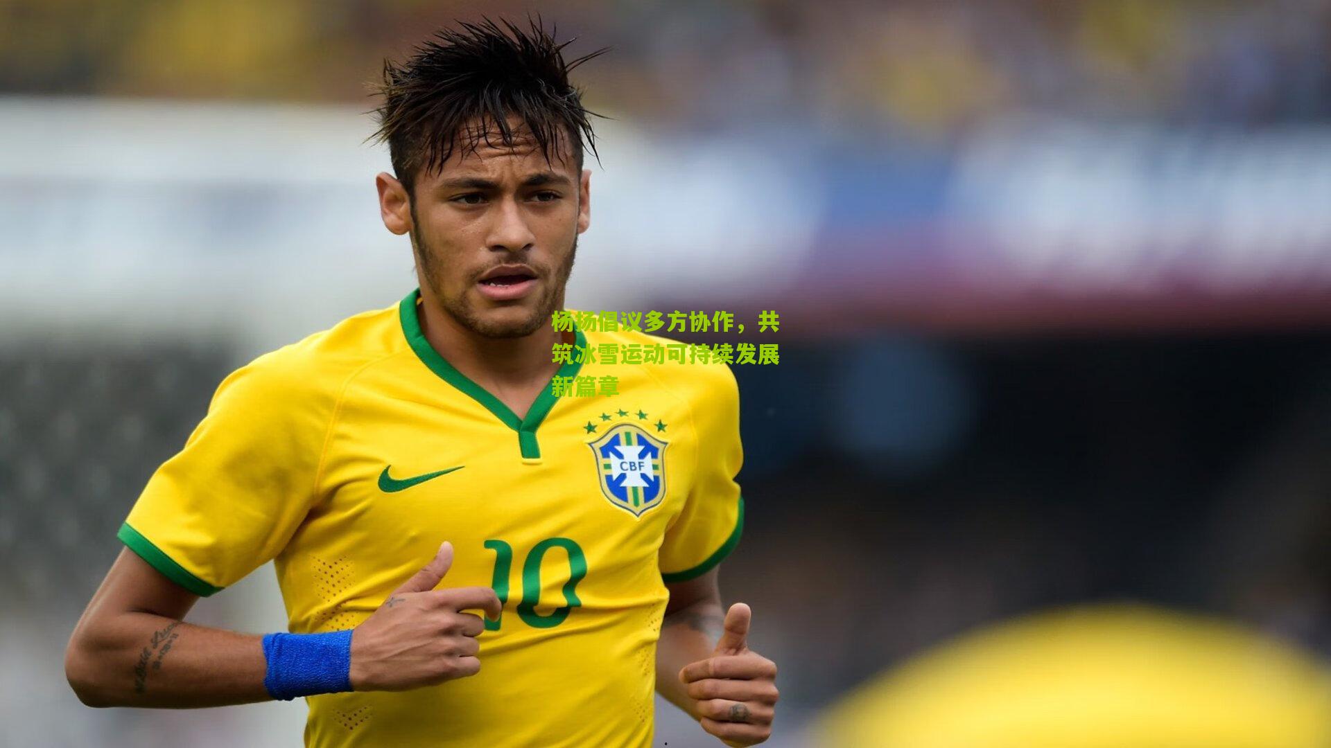 28圈官网_杨扬倡议多方协作，共筑冰雪运动可持续发展新篇章